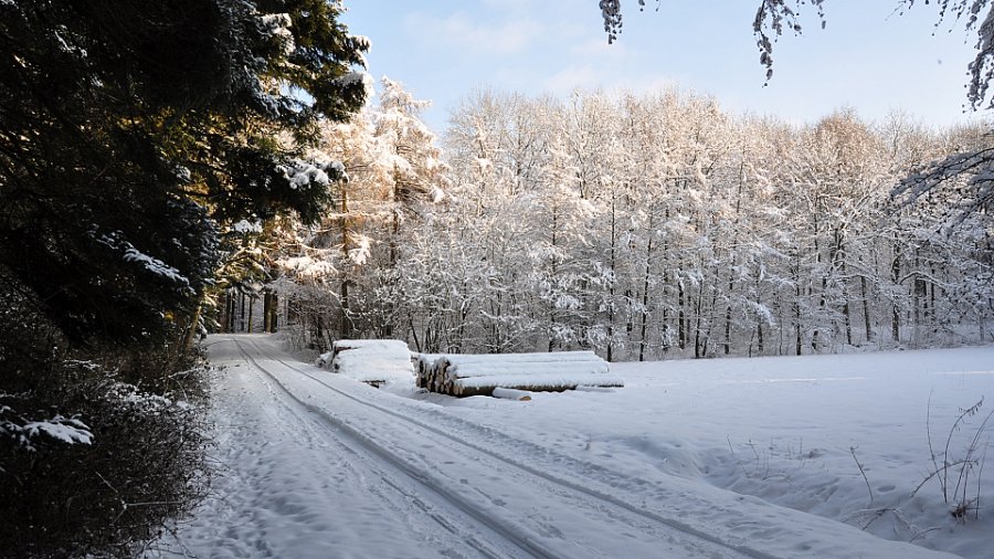 vinter gråsten skov 4